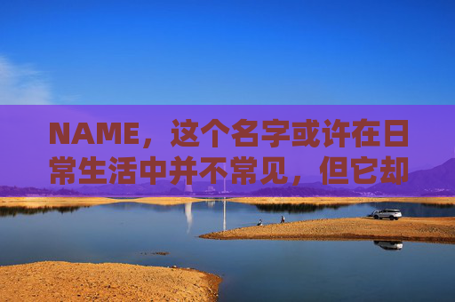 NAME，这个名字或许在日常生活中并不常见，但它却在某些领域里扮演着重要的角色。今天，让我们一起来探索这个名字背后的故事和意义